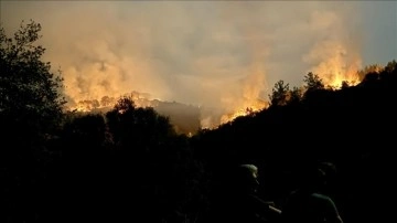 Muğla'nın Yatağan ve Ula ilçelerinde çıkan orman yangınlarına müdahale sürüyor