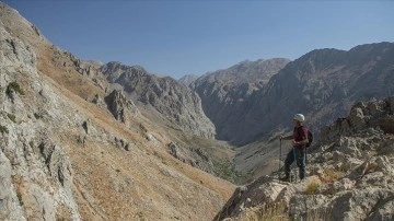 Munzur Dağları'nın 3 bin rakımlı zirveleri dağcıların rotasında