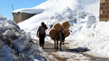 Muş'un karla kaplı köylerinde zorlu hayat devam ediyor