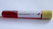 Myanmar&#39;da ilk Kovid-19/ koronavirüs vakaları görüldü