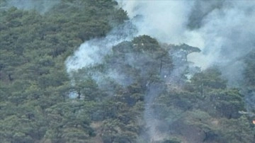 Nallıhan'da yıldırım sebebiyle çıkan orman yangını kontrol altına alındı