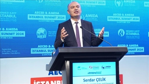 OECD Sermaye Piyasaları ve Finansal Kuruluşlar Dairesi Başkanı Çelik'ten sürdürülebilirlik vurg