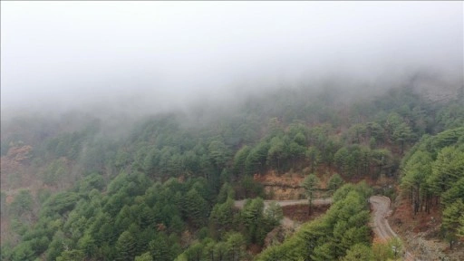 Oksijen deposu Kazdağları'nın doğal güzellikleri dronla görüntülendi