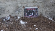 Ölen kedileri Boncuk'u aile mezarlığına gömdüler