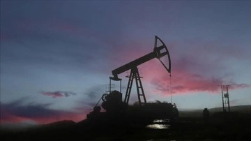 OPEC, küresel petrol talebinde bu yıl günlük 2,2 milyon varil artış bekliyor