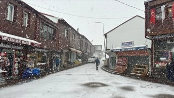 Ordu'nun Çambaşı Yaylası'nda kar yağışı etkili oluyor