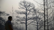 'Orman yangınlarının yüzde 97'si insan kaynaklı'
