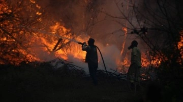 Orman yangınlarıyla mücadelede '3 temel strateji'