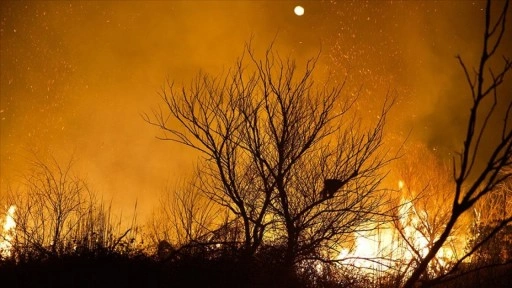 Osmaniye Kastabala Kuş Cenneti'nde çıkan yangına müdahale ediliyor