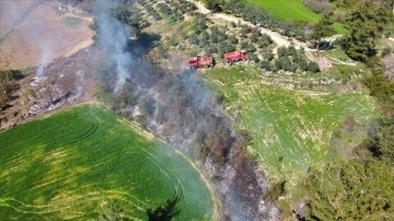 Osmaniye'de orman yangınında 5 dekarlık alan zarar gördü