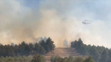 Pamukkale'de orman yangını çıktı