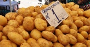 Patates fiyatları dibe vurdu, üretici isyanda