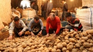 Patates üreticisinin umudu ihracatta