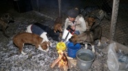 Patiköy'deki 'engelli köpekleri üşümesin' diye her gece kalkıp ateş yakıyor