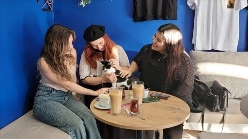 "Patili Kafe"de en uslu köpeğe ödül maması veriliyor