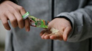 'Patlayan şeker' üreticisi firma 70 ülkede çocukların ağzını tatlandırıyor