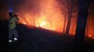 Piknik ateşi Kazdağları'nda 40 hektar ormanlık alanı yaktı