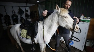 Pony cinsi &quot;albino&quot; at, binicilik kulübünün maskotu oldu