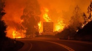 Portekiz'de orman yangını: 39 ölü