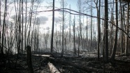 Portekiz'de orman yangınları alarm veriyor