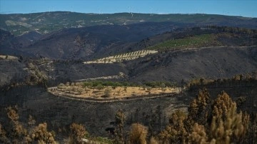 Portekiz orman yangınlarına karşı 3 günlük alarma geçti