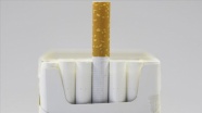 Prof. Dr. Eyüboğlu&#039;ndan &#039;Koronavirüs için sigaradan uzak durun&#039; uyarısı