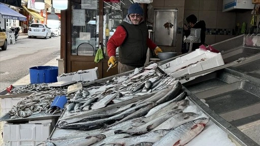 Ramazanda balık satışları azaldı fiyatlar düştü