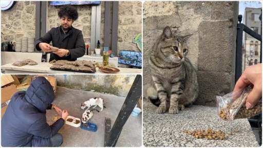 Restoranın kasada dağıttığı mamalarla sahipsiz kedileri besliyorlar