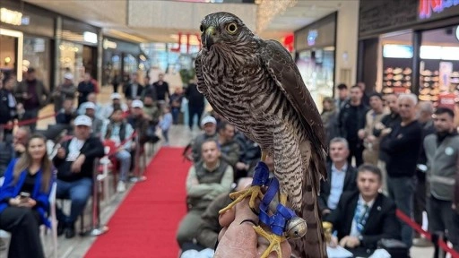 Rize'de en güzel atmacalar yarıştı