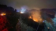 Rize'de orman yangını çıktı