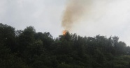 Rize'de yıldırım orman yaktı