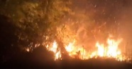 Rize'deki orman yangını güçlükle söndürüldü