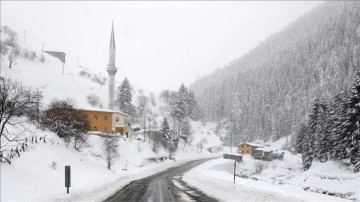 Rize ve Bitlis'te eğitime kar engeli