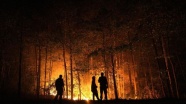Rusya'da 3 milyon hektarı aşkın orman kül oldu