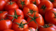 Rusya'nın domates kararına BAİB'den tepki