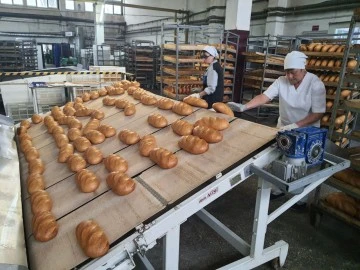 Rusya’nın yeni bölgelerinden Zaporojye Eyaleti’nde bir ekmek fabrikası ziyaretinden izlenimler -Okay Deprem, Moskova'dan yazdı-