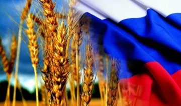 Rusya Tahıl Birliği Başkanı Zloçevsky: Türkiye gibi tahılımızın düzenli alıcıları Rus ürününe olan ilgisini kaybediyor