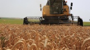 Rusya, tarımda iki hafta içinde çözüm umuyor
