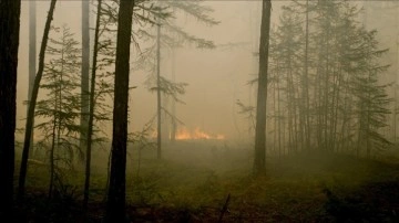 Rusya’da yangınlarla mücadele sürüyor