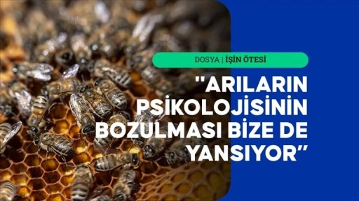 Saf bal için arılarına evladı gibi bakıyor