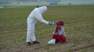 Sağlık Bakanlığından mevsimlik tarım işçilerine yönelik Kovid-19/ koronavirüs tedbirleri