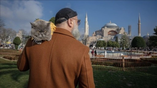 Sahibinin omuzunda taşıyarak gezdirdiği kedi adeta İstanbul'un seyyahı oldu