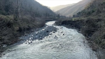 Sakarya'da son yağışlar göl ve nehirlere yaradı