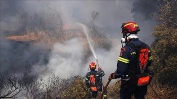 Sakız Adası’nda çıkan yangın sakız ağaçlarını tehdit ediyor
