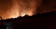 Samandağ'da tarım alanı yangını