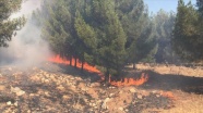 Şanlıurfa&#039;daki orman yangınında 45 hektar alan zarar gördü