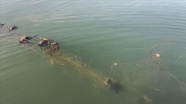 Sapanca Gölü&#039;nde &#039;hayalet ağ&#039; nedeniyle ördek ve balıkların telef olmasına inceleme