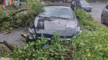 Sarıyer'de yağış ve rüzgar nedeniyle seyir halindeki iki aracın üzerine ağaç devrildi