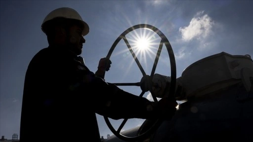 Şebekeye doğal gaz girişinde şubatta tüm zamanların rekoru kırıldı