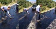 Sıcaktan eriyen asfalta yapışan yılanı vatandaş kurtardı